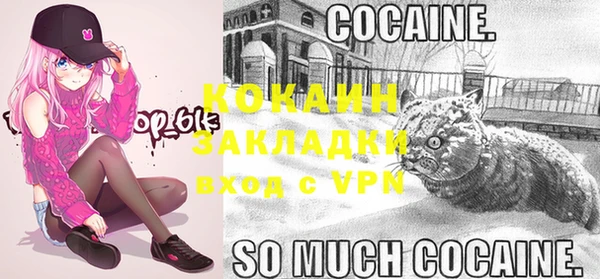 стафф Абинск