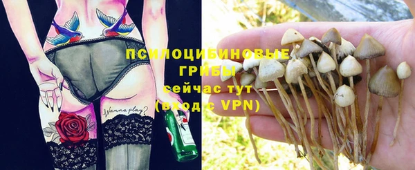 стафф Абинск