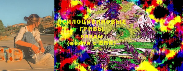 ГАЛЛЮЦИНОГЕННЫЕ ГРИБЫ Саяногорск